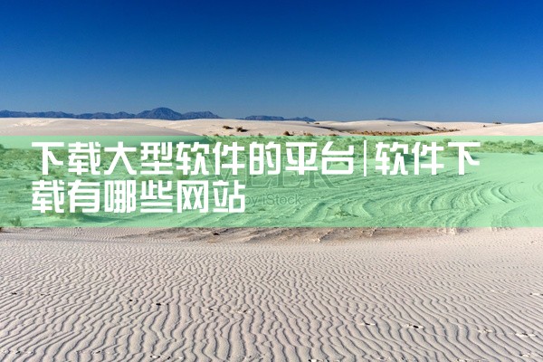 下载大型软件的平台