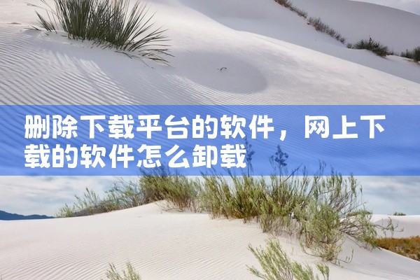 删除下载平台的软件