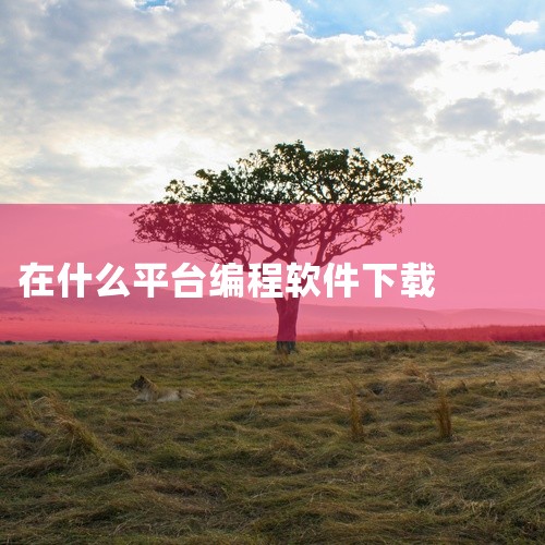要下载 Python 编程软件，请按照以下步骤操作：访问官方网站：前往 Python 官方网站 https://www.python.org/downloads/。选择正确的版本和平台：选择适合您操作|