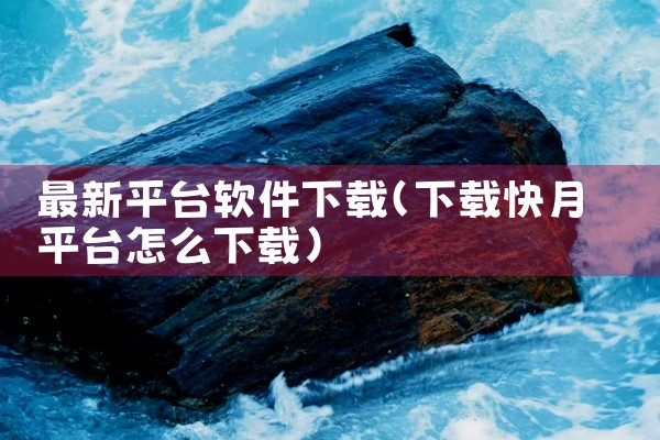 最新平台软件下载