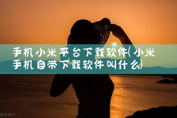 手机小米平台下载软件