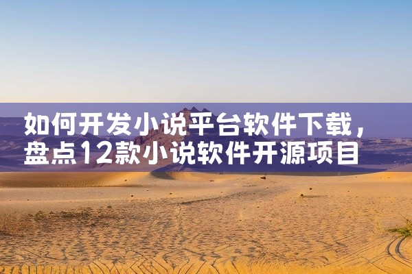 如何开发小说平台软件下载