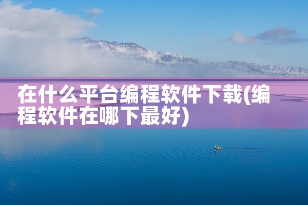 在什么平台编程软件下载