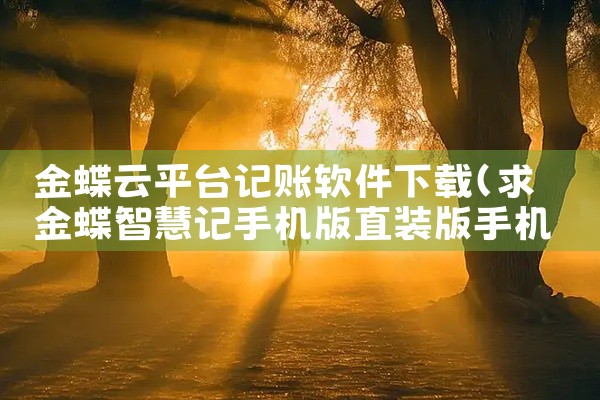 金蝶云平台记账软件下载