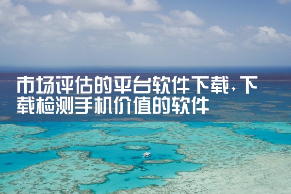 市场评估的平台软件下载