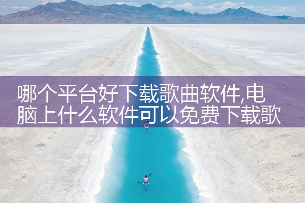 哪个平台好下载歌曲软件