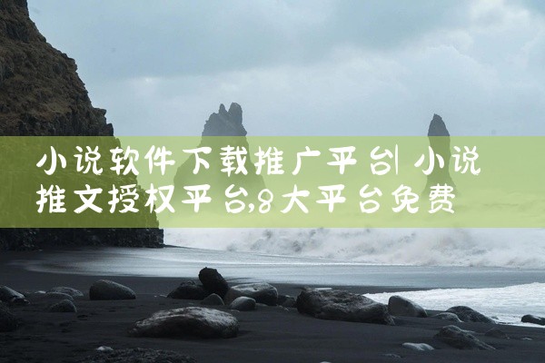 小说软件下载推广平台